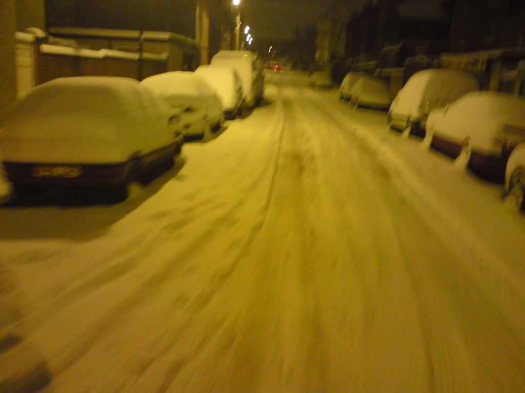 DSC01370.jpg