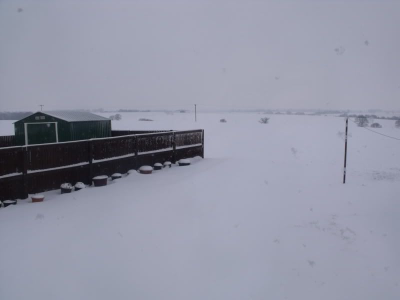 snow001.jpg