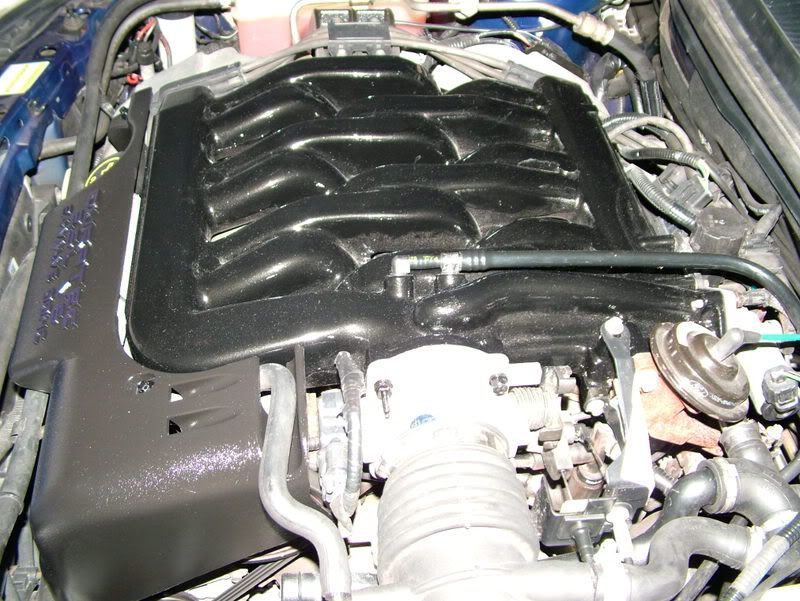 2008_0520Image0021.jpg