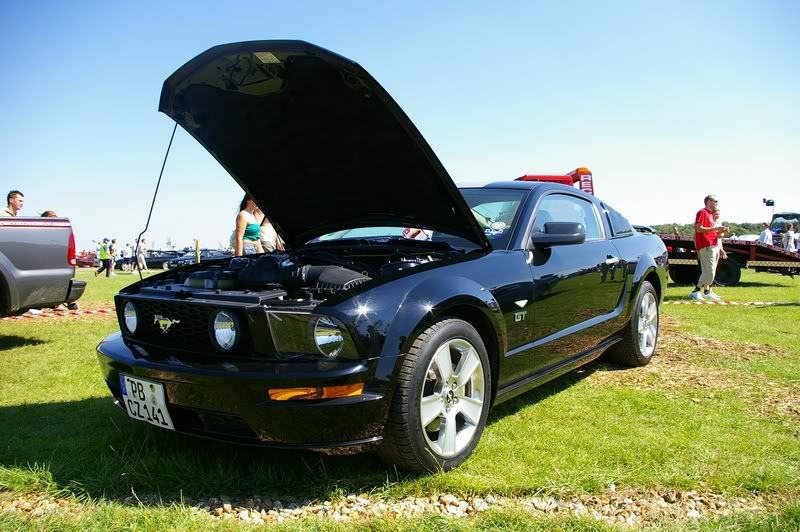 IMGP5163800x600.jpg