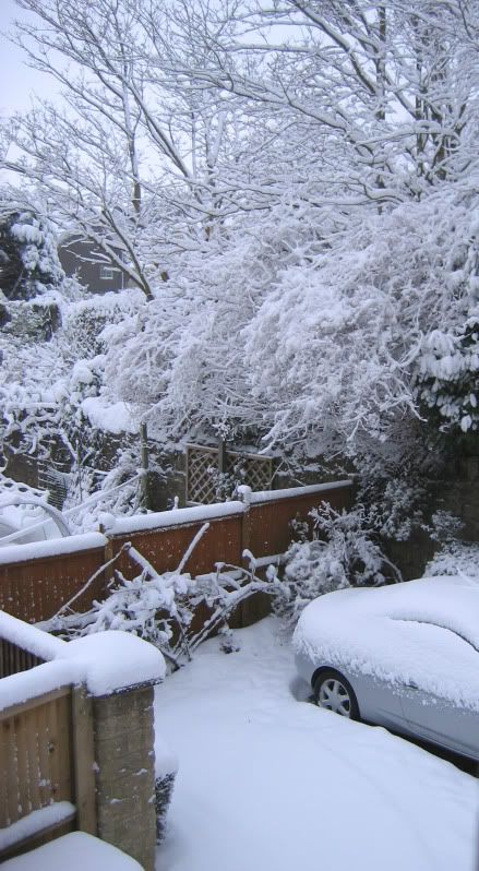 3102SnowedincarJanuary2010.jpg