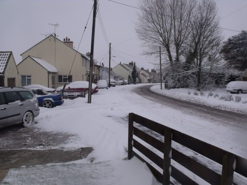 snow009.jpg