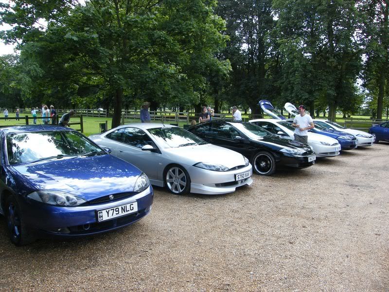 DSCF0802800x600.jpg
