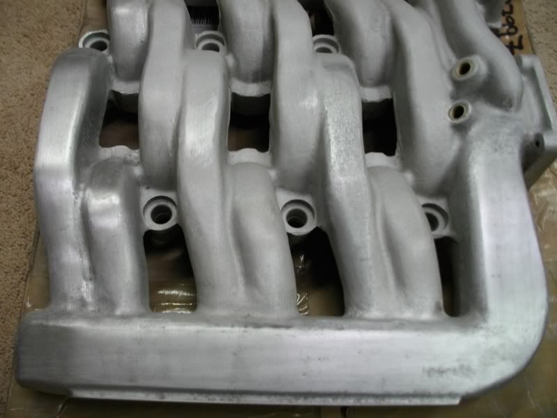 SANY0570.jpg
