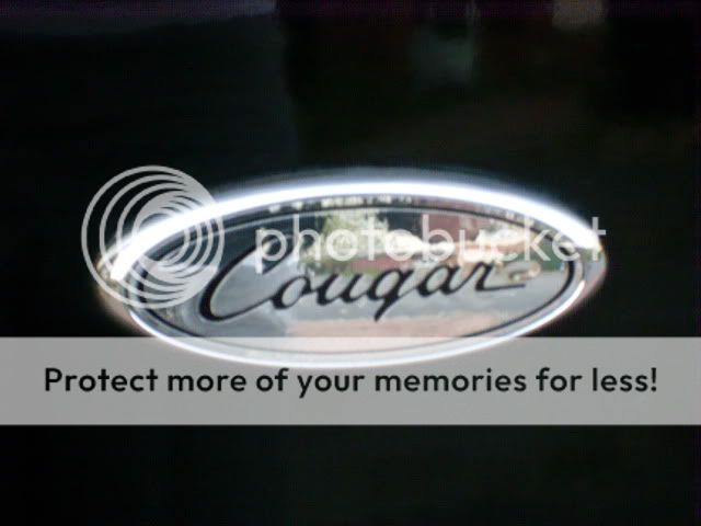 CougWashedClayBarredandpolished141011005.jpg