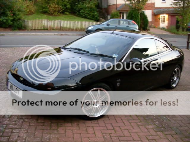 CougWashedClayBarredandpolished141011010.jpg