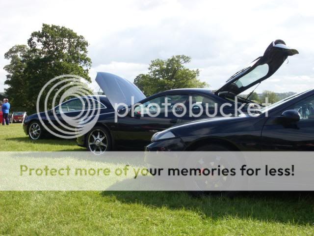 Harewood2011179.jpg