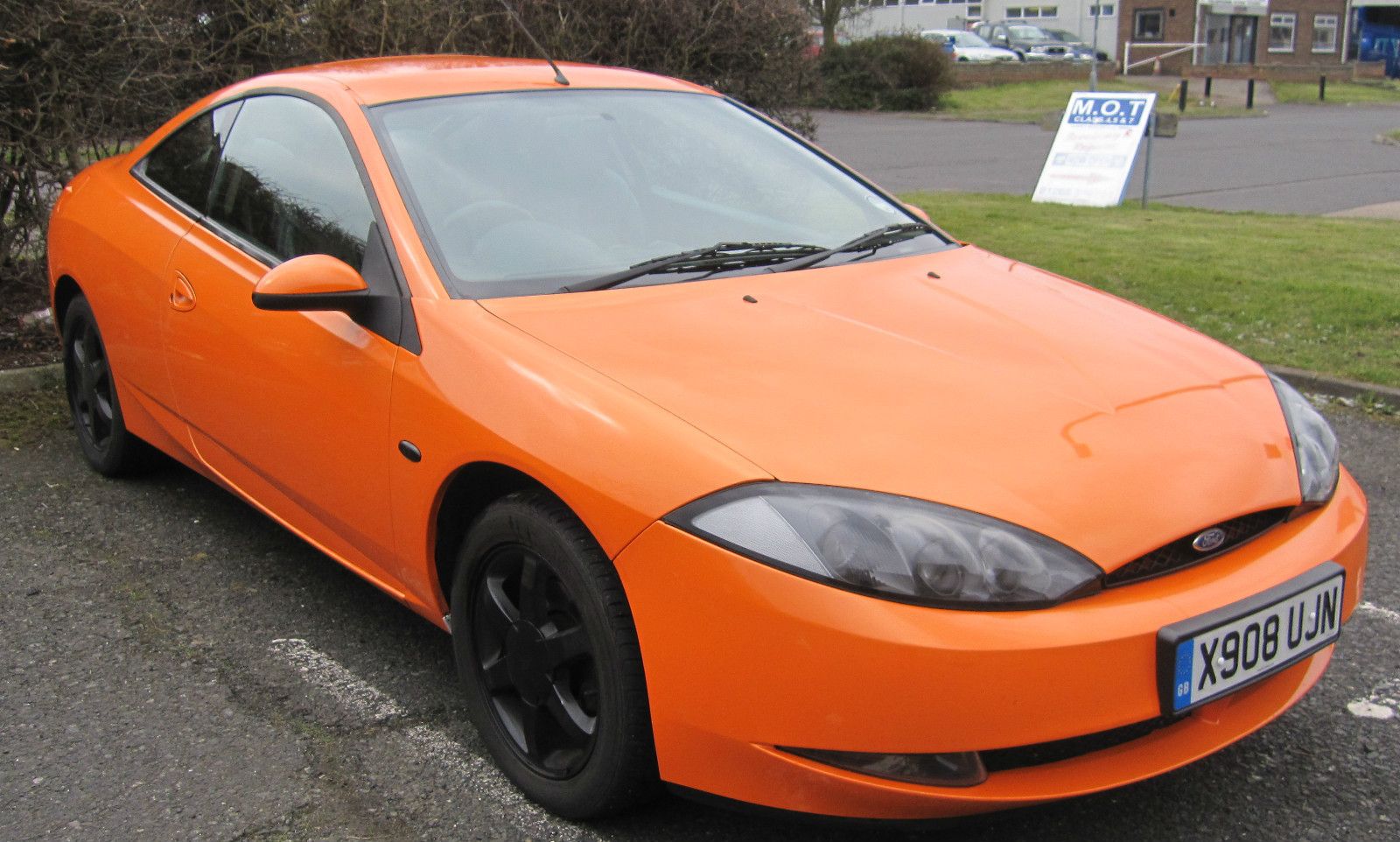 orangecat_zps8f4c1fd1.jpg