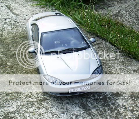 minicat2.jpg