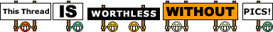needpics-1.gif