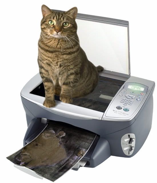 copycat.jpg