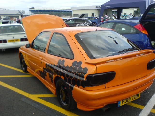 DSC02284.jpg