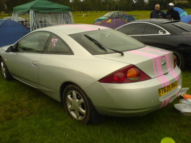 DSC00500.jpg