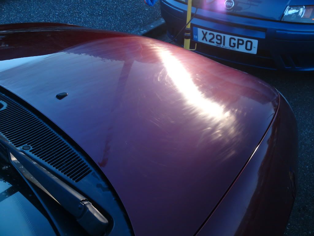 P11-10-10_1809.jpg