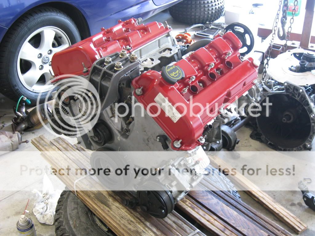IMG_0667.jpg