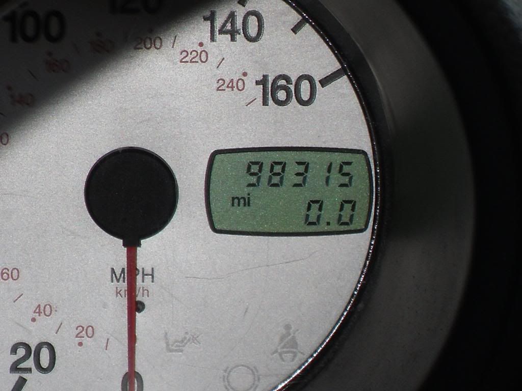 SDC11696.jpg