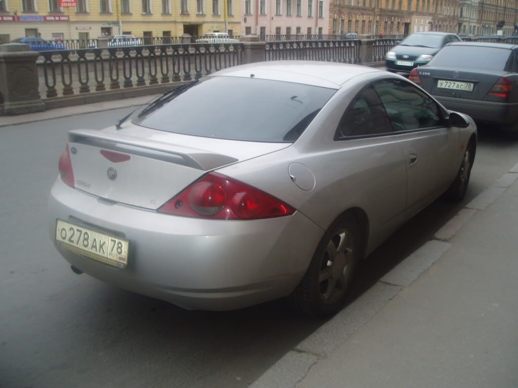 russiancougar1.jpg