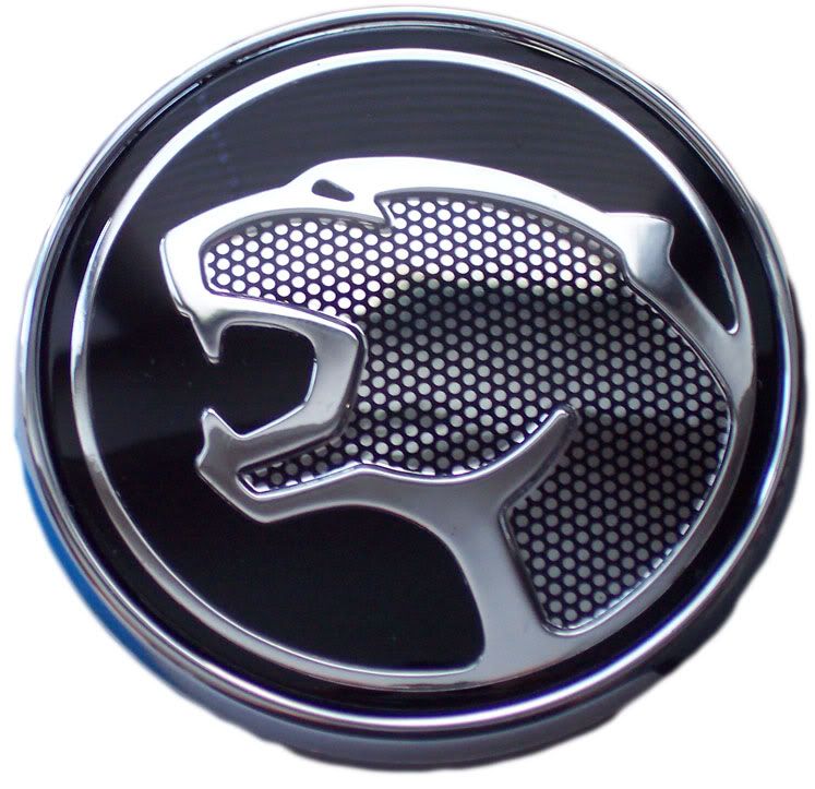 cougar-head.jpg