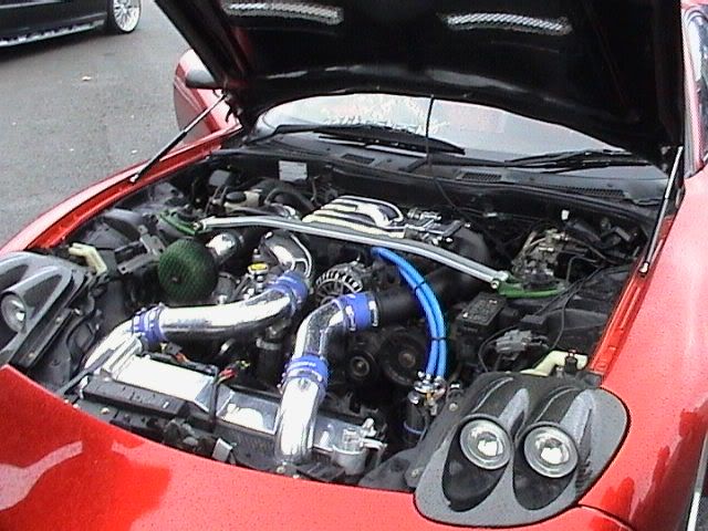 035.jpg