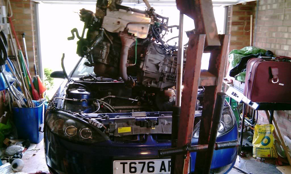 IMAG0171.jpg