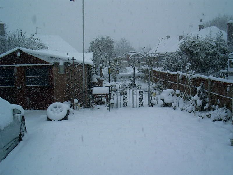 IMAG0017.jpg