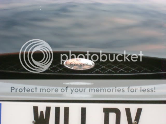 CougWashedClayBarredandpolished141011002.jpg