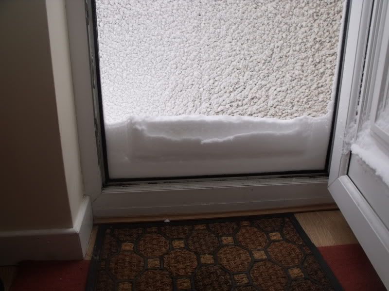 snow003.jpg
