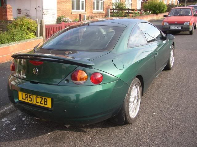 MYCOUGAR009.jpg