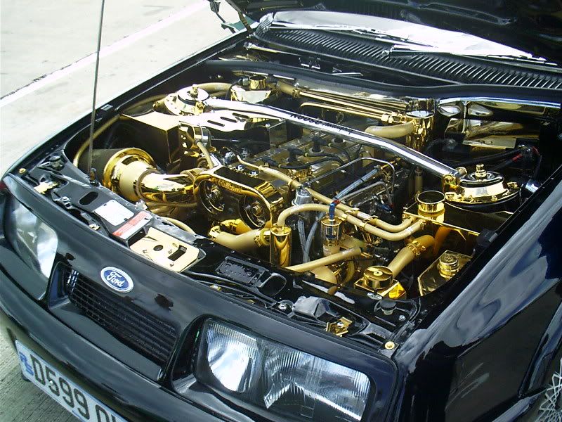 IMAG0036.jpg
