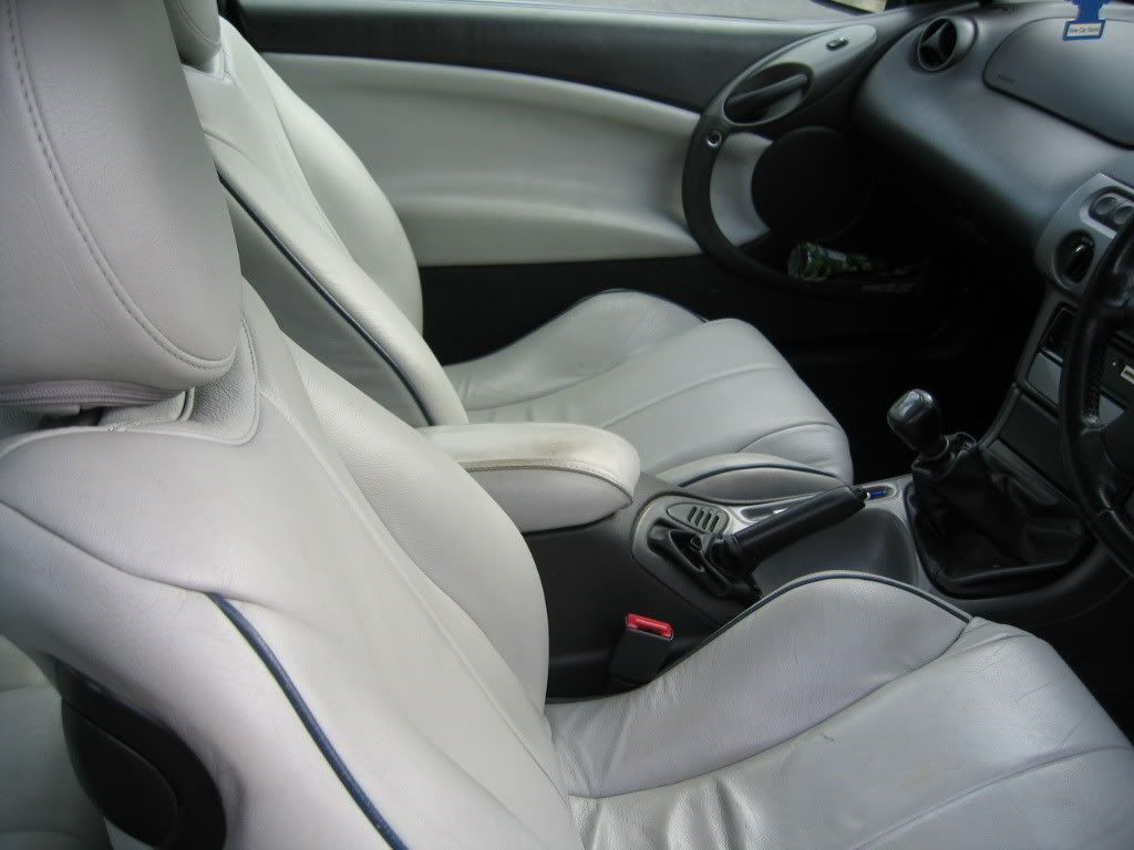 Cougar007.jpg