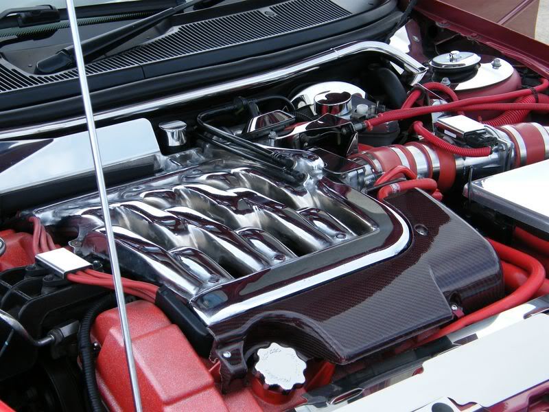 DSCF0441800x600.jpg