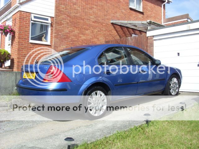 UpdatedCougPics-Sept2012008.jpg