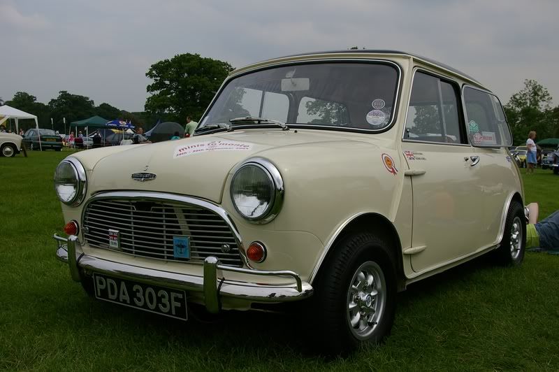 IMGP4492800x600.jpg