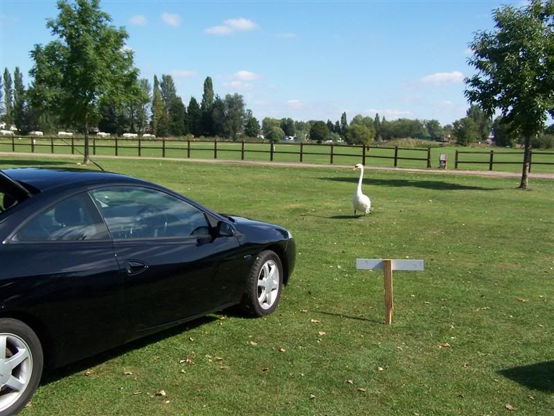 100_0745Medium.jpg