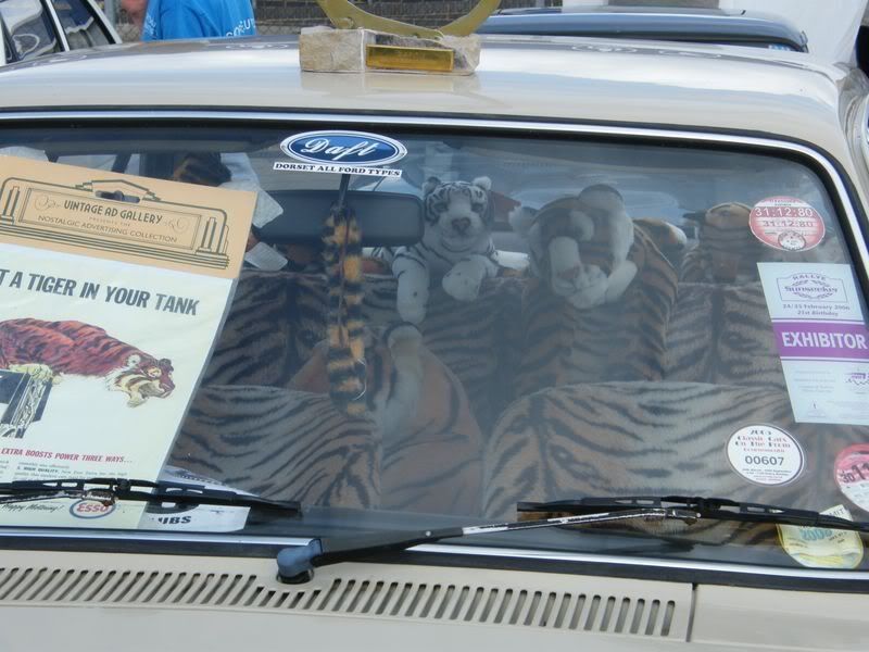 DSCF0444800x600.jpg