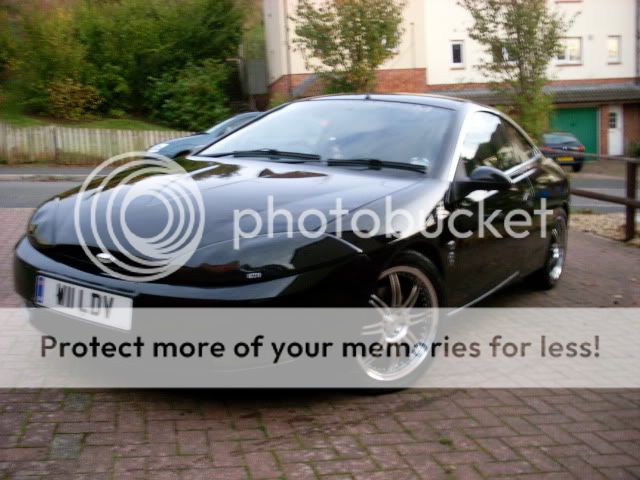 CougWashedClayBarredandpolished141011009.jpg