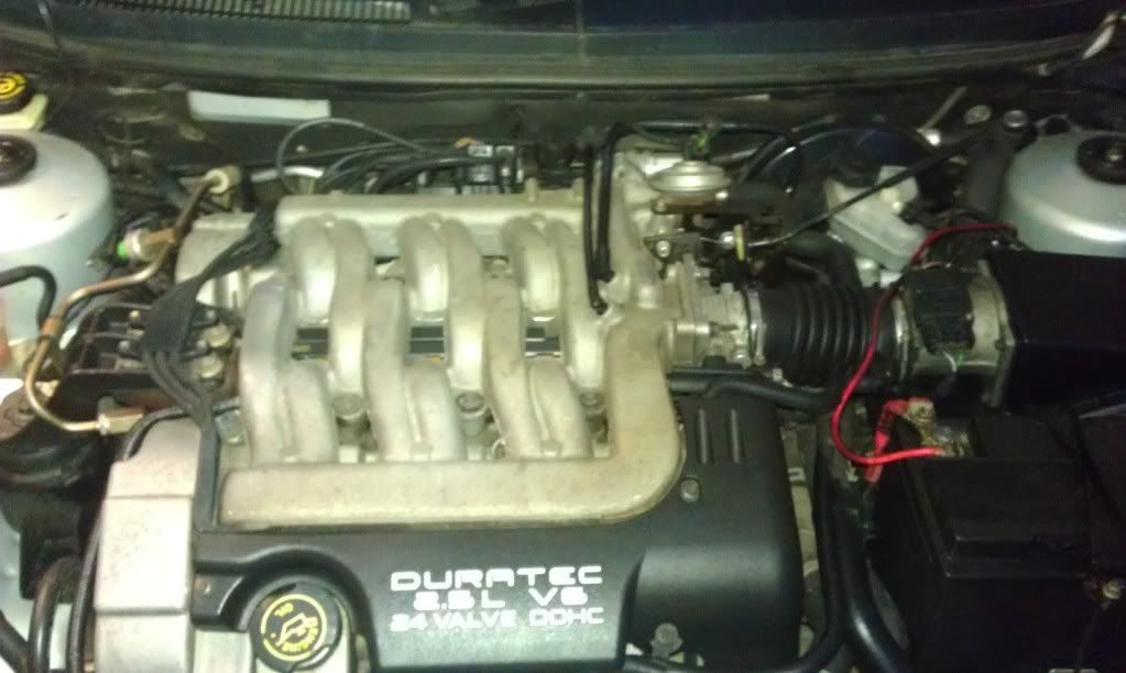 IMAG0474.jpg