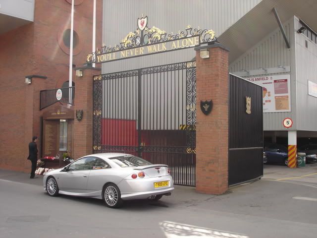 lfccougarpictures002.jpg