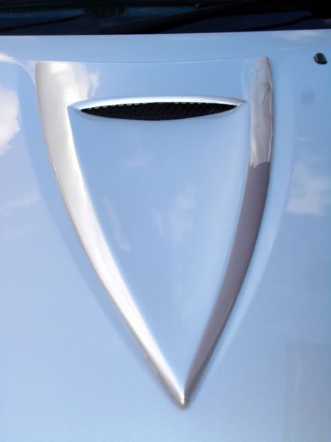 DSC00293.jpg