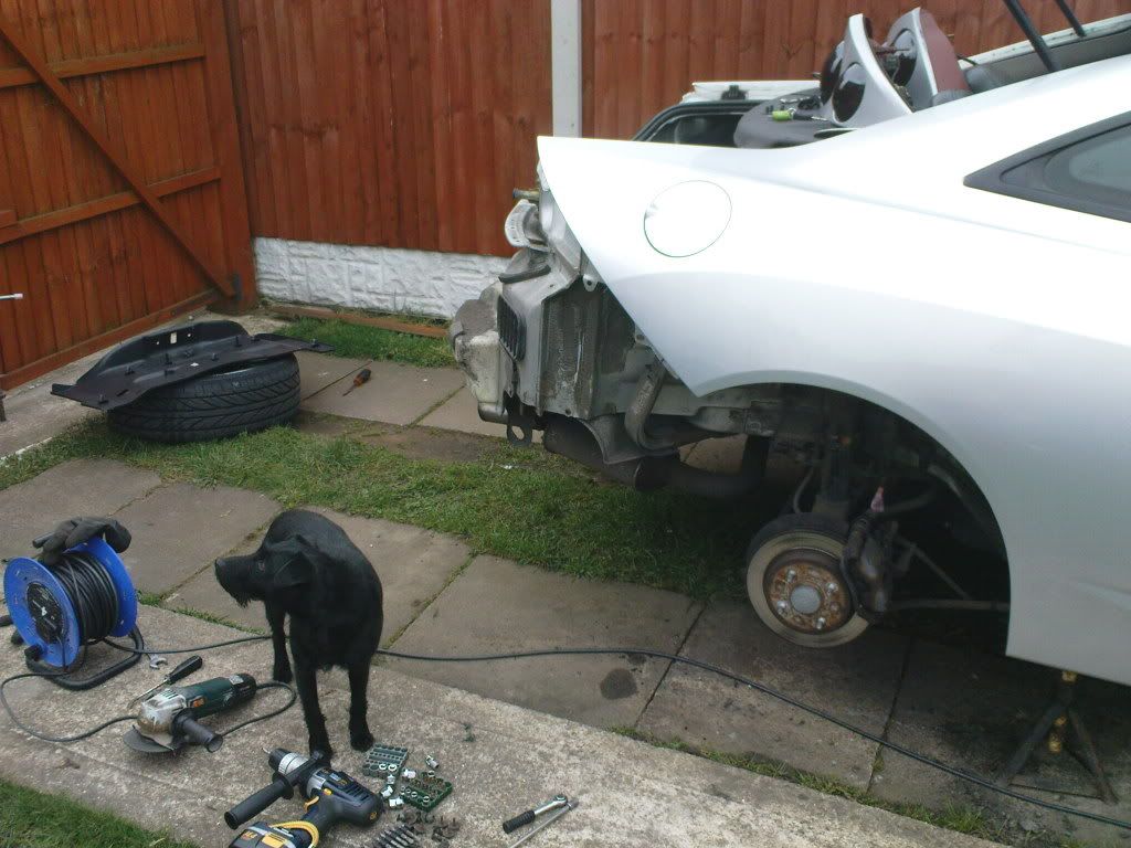 Picture068.jpg