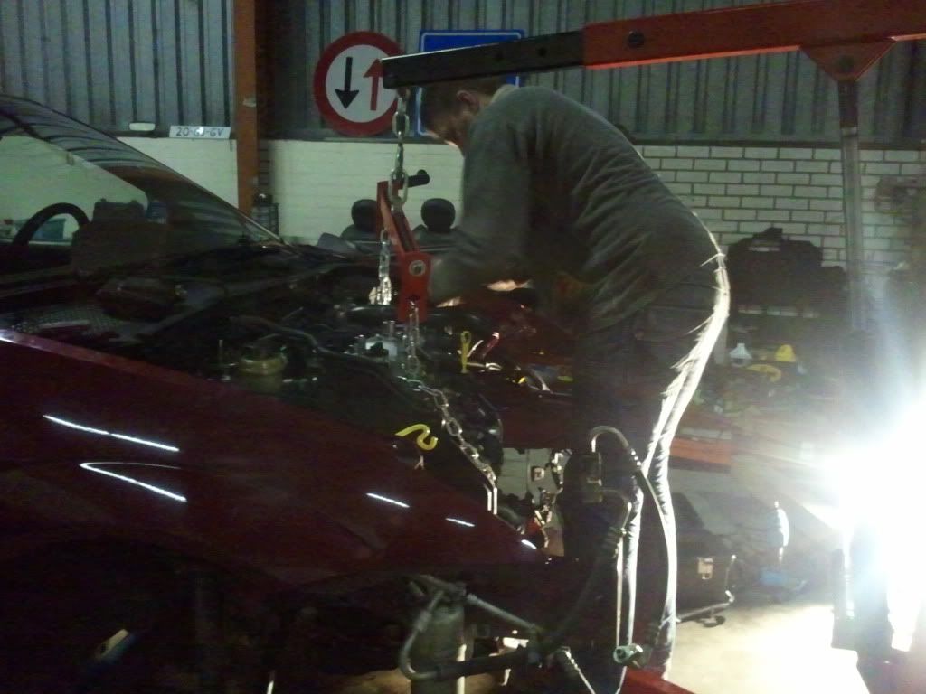 2011-10-25190556.jpg