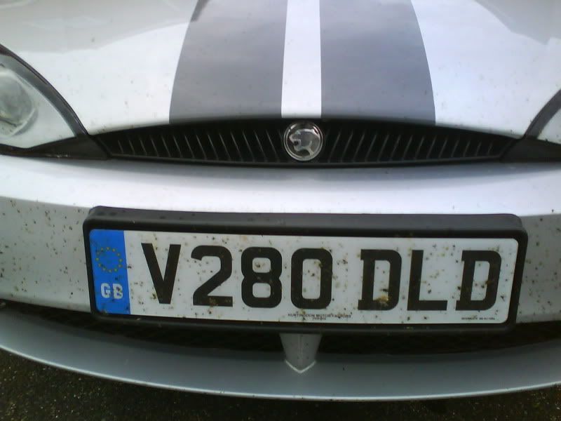 DSC00687.jpg