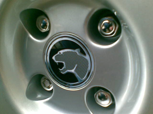 29062008003.jpg