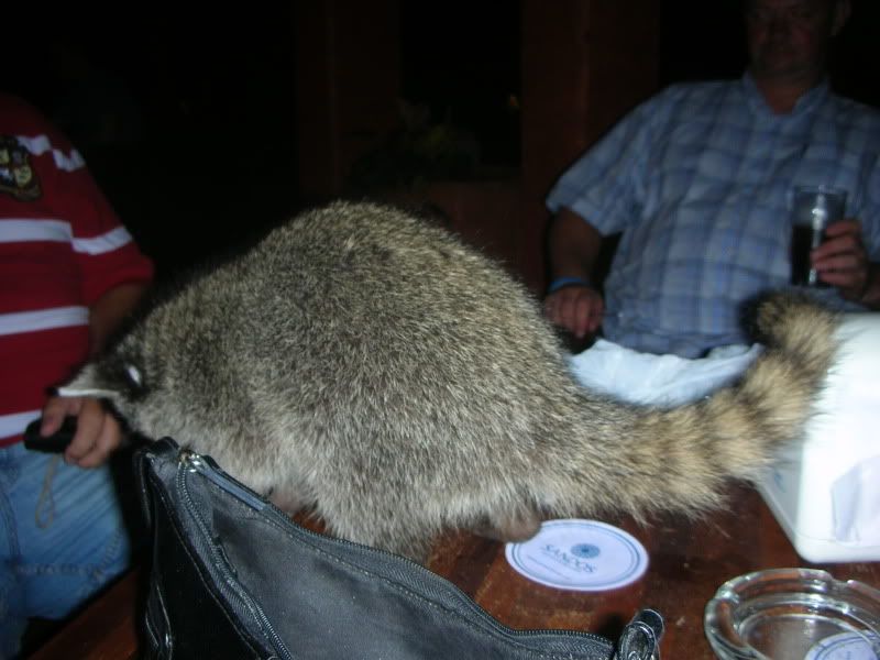 DSCN0595.jpg