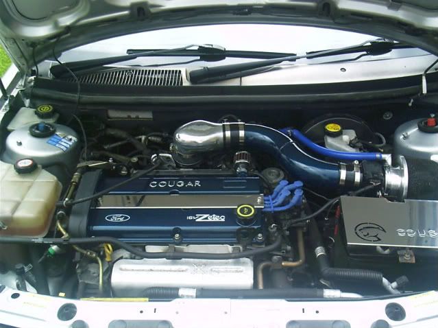 IMAG0033.jpg