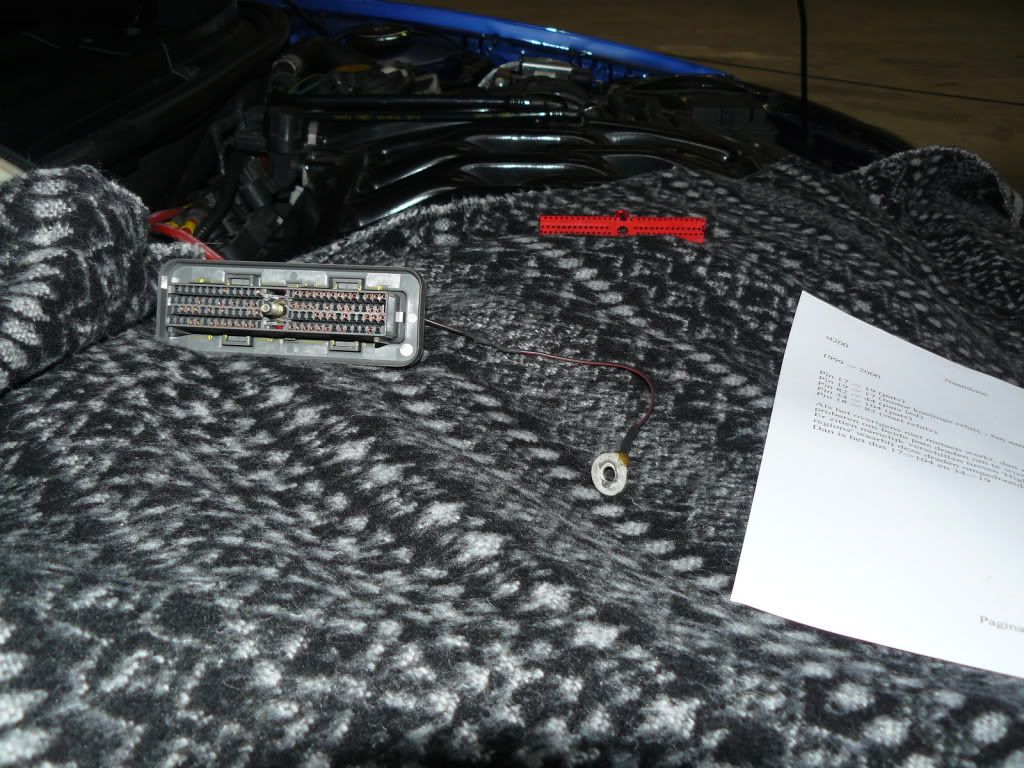 P1140519.jpg