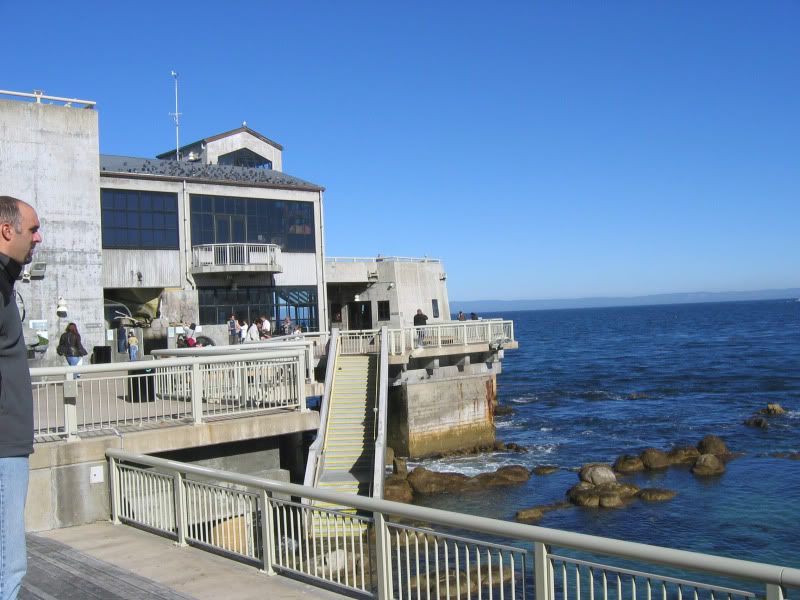 2892Seasideofaquarium.jpg