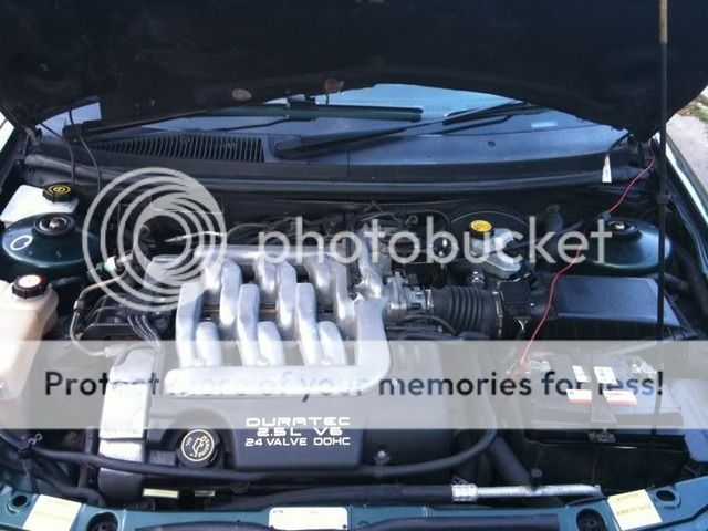 46994_482103995855_687685855_7330815_7026096_n-1.jpg