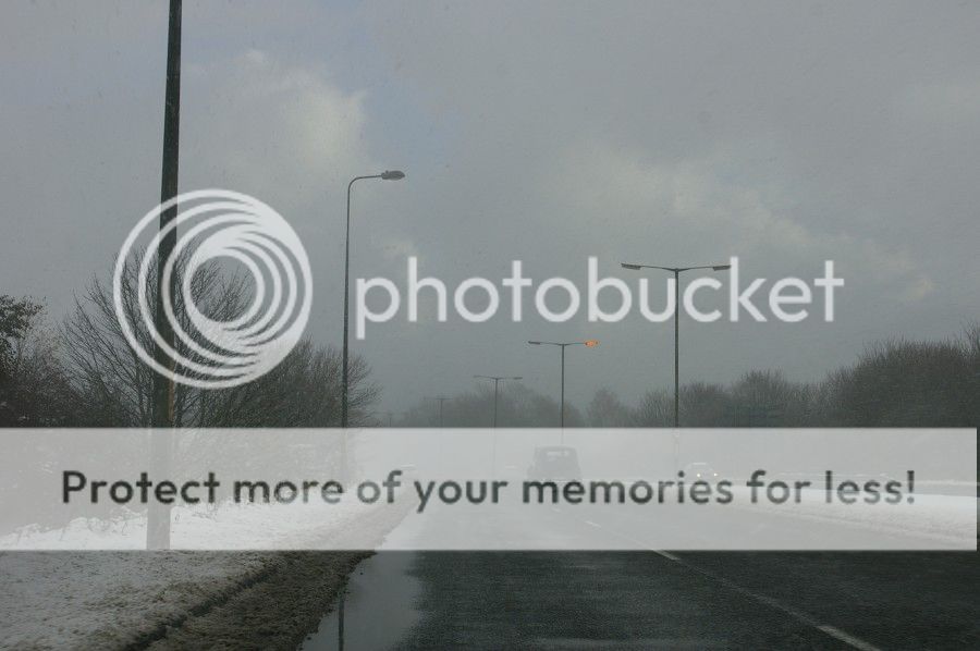 IMGP9906s.jpg